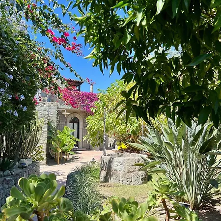 شقة Il Pozzo D'ischia Adults Only - Monolocale