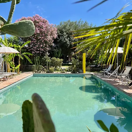 Il Pozzo D'ischia Adults Only - Monolocale